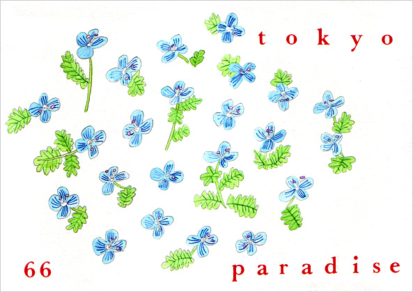 TOKYO PARADISE vol.66号