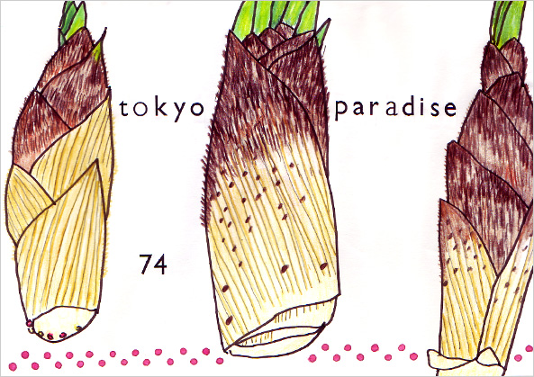 TOKYO PARADISE vol.74号